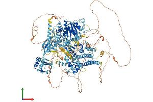 Protein Structure (PS) image for Strawberry Notch Homolog 1 (SBNO1) (AA 1-1393) protein (His tag) (ABIN7555335)