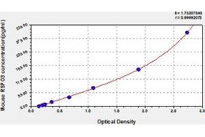 R-Spondin 3 ELISA Kit