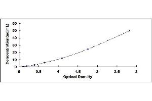 Typical standard curve (GOT2 ELISA Kit)