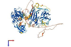 MAP4K2 Protein (AA 1-821) (His tag)
