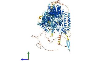 Protein Structure (PS) image for DEAH (Asp-Glu-Ala-His) Box Polypeptide 29 (DHX29) (AA 1-1365) protein (His tag) (ABIN7564130)