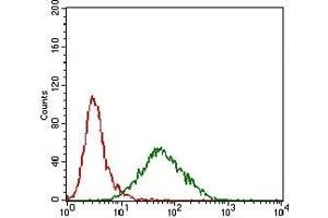 Flow cytometric analysis of Hela cells using PRL mouse mAb (green) and negative control (red). (Prolactin Antikörper  (AA 65-173))