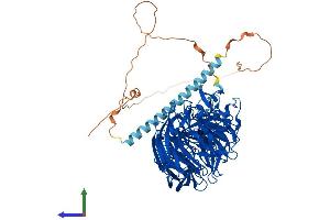 Protein Structure (PS) image for Echinoderm Microtubule Associated Protein Like 1 (EML1) (AA 1-815) protein (His tag) (ABIN7553783)