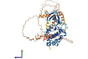 Protein Structure (PS) image for Mitogen-Activated Protein Kinase 4 (MAPK4) (AA 1-583) protein (His tag) (ABIN7557998)