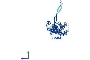 Protein Structure (PS) image for tRNA-Histidine Guanylyltransferase 1-Like (THG1L) (AA 1-298) protein (His tag) (ABIN7544405)