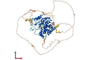 Protein Structure (PS) image for Myotubularin Related Protein 14 (MTMR14) (AA 1-650) protein (His tag) (ABIN7549580)