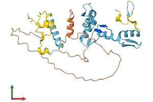 AlphaFold protein structure predicition of Human Recombinant ZNF705B Protein, UniprotID P0CI00