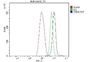 Flow Cytometry analysis of THP-1 cells using anti-GRB10 antibody (ABIN7599161). (GRB10 Antikörper  (AA 1-251))