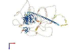 MLK4 Protein (AA 1-1002) (His tag)