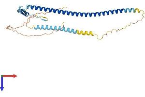 EPSTI1 Protein (AA 1-314) (His tag)