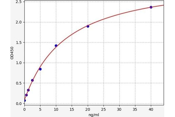 Adipsin ELISA Kit