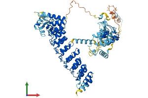 AlphaFold protein structure predicition of Mouse Recombinant Ankef1 Protein, UniprotID Q9D2J7