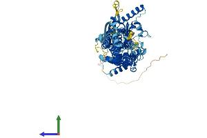 Protein Structure (PS) image for ATP-Binding Cassette, Sub-Family G (WHITE), Member 5 (ABCG5) (AA 1-652) protein (His tag) (ABIN7560457)