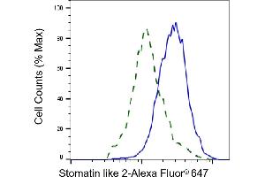 Validation of Stomatin like 2 knockdown using flow cytometry. (Rekombinanter STOML2 Antikörper)