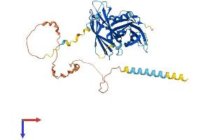 SYT15 Protein (AA 1-421) (His tag)