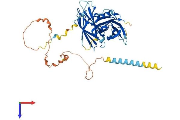 SYT15 Protein (AA 1-421) (His tag)
