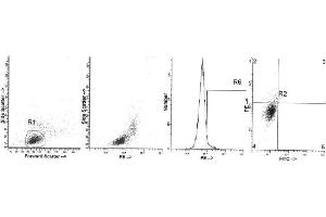 Image no. 1 for anti-Interleukin 4 (IL4) antibody (ABIN1107847) (IL-4 Antikörper)