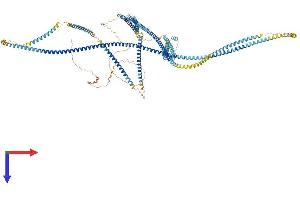 ERC1 Protein (AA 1-1120) (His tag)