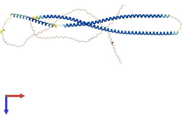 KRT83 Protein (AA 1-493) (His tag)