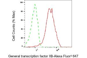 Flow cytometric analysis of General transcription factor IIB expression in HeLa cells using General transcription factor IIB antibody (ABIN7798706), 1:2,000). (Rekombinanter GTF2B Antikörper)