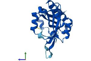 Protein Structure (PS) image for N-Acetyltransferase 5 (NAT5) (AA 1-178) protein (His tag) (ABIN7556587)