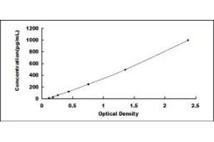 Image no. 1 for Arginine Vasopressin (AVP) ELISA Kit (ABIN1874324)