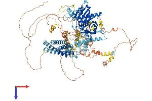 DAGLA Protein (AA 1-1044) (His tag)