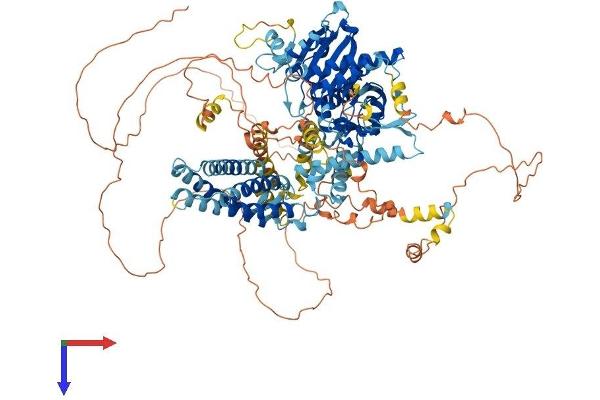 DAGLA Protein (AA 1-1044) (His tag)