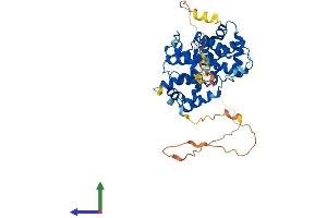 Protein Structure (PS) image for Cyclin E2 (CCNE2) (AA 1-404) protein (His tag) (ABIN7556407)
