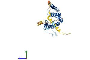 AlphaFold protein structure predicition of Human Recombinant TEDDM1 Protein, UniprotID Q5T9Z0