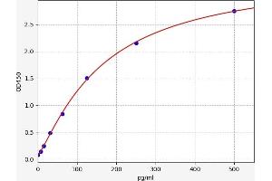 CKLF ELISA Kit