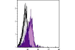 BALB/c mouse splenocytes were stained with Rat Anti-Mouse LPAM-1-UNLB. (ITGA4 Antikörper)