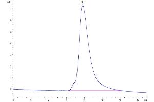Size-exclusion chromatography-High Pressure Liquid Chromatography (SEC-HPLC) image for CD47 (CD47) (AA 19-139) protein (His-Avi Tag,Biotin) (ABIN7274233)