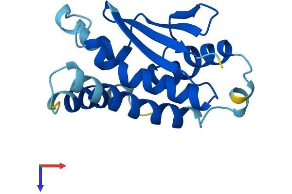 TRAPPC6A Protein (AA 1-159) (His tag)