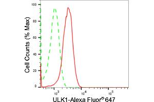 Flow cytometric analysis of ULK1 expression in HepG2 cells using ULK1 antibody (ABIN7800768), 1:2,000). (Rekombinanter ULK1 Antikörper)