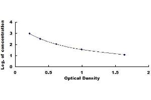 Typical standard curve