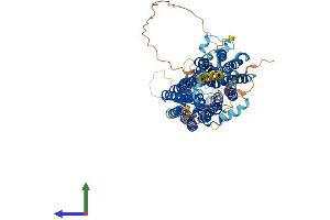 AlphaFold protein structure predicition of Human Recombinant SLCO4C1 Protein, UniprotID Q6ZQN7