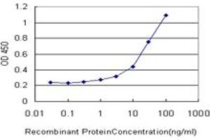 Detection limit for recombinant GST tagged MEOX1 is approximately 0. (MEOX1 Antikörper  (AA 165-252))