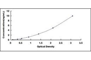 Typical standard curve (MUC20 ELISA Kit)