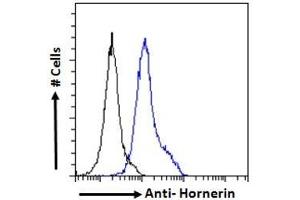 ABIN238644 Flow cytometric analysis of paraformaldehyde fixed A549 cells (blue line), permeabilized with 0. (HRNR Antikörper  (Internal Region))