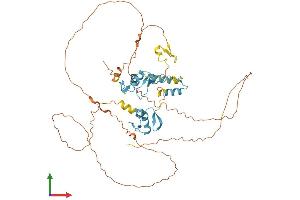 Protein Structure (PS) image for Pleiomorphic Adenoma Gene-Like 2 (PLAGL2) (AA 1-496) protein (His tag) (ABIN7550722)