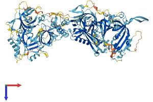 AlphaFold protein structure predicition of Mouse Recombinant Ctc1 Protein, UniprotID Q5SUQ9