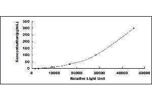 Interleukin 28A (Interferon, lambda 2) (IL28A) CLIA Kit