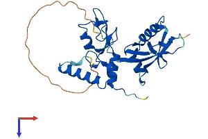 PCGF3 Protein (AA 1-241) (His tag)