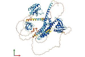 Protein Structure (PS) image for rho Guanine Nucleotide Exchange Factor (GEF) 7 (ARHGEF7) (AA 1-862) protein (His tag) (ABIN7565057)