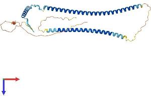 EPSTI1 Protein (AA 1-318) (His tag)