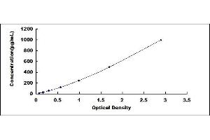 Typical standard curve (IL-31 ELISA Kit)