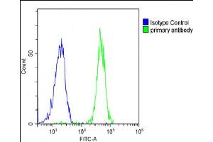 Flow Cytometry (FACS) image for anti-Spinster Homolog 2 (SPNS2) (AA 68-94), (N-Term) antibody (ABIN1539538)