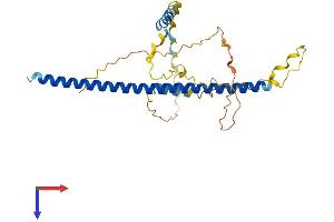 ATF5 Protein (AA 1-282) (His tag)