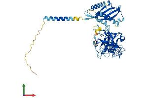 Protein Structure (PS) image for Transmembrane Protease, Serine 11F (TMPRSS11F) (AA 1-439) protein (His tag) (ABIN7558652)